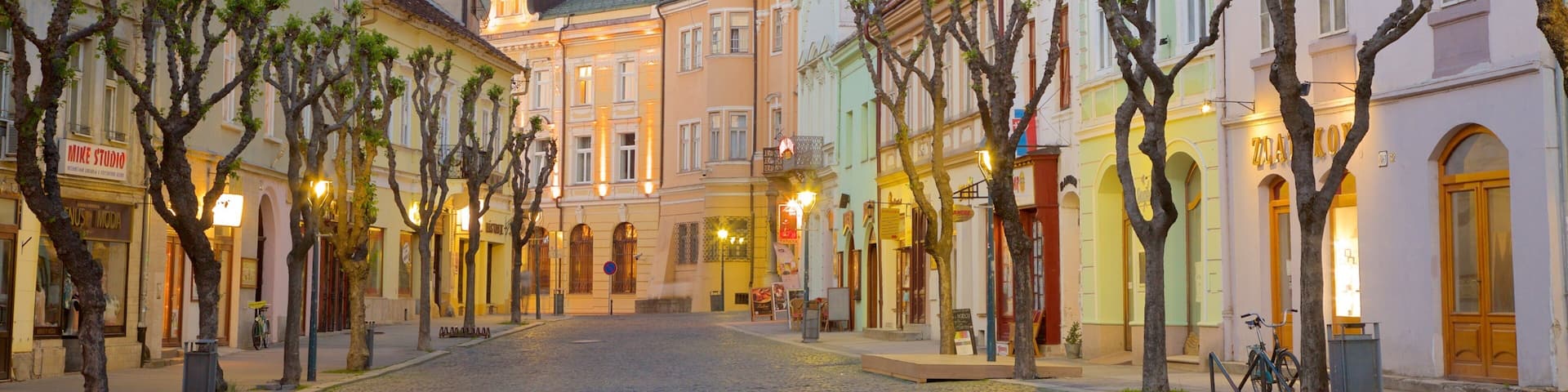 Trencin featuring street scenes