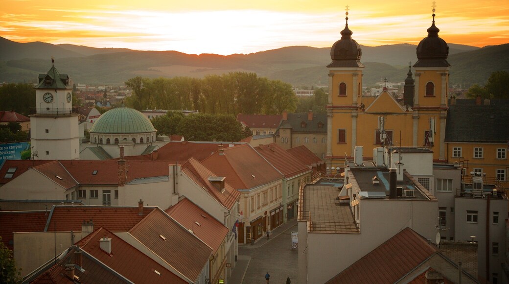 Trencin which includes a city and a sunset