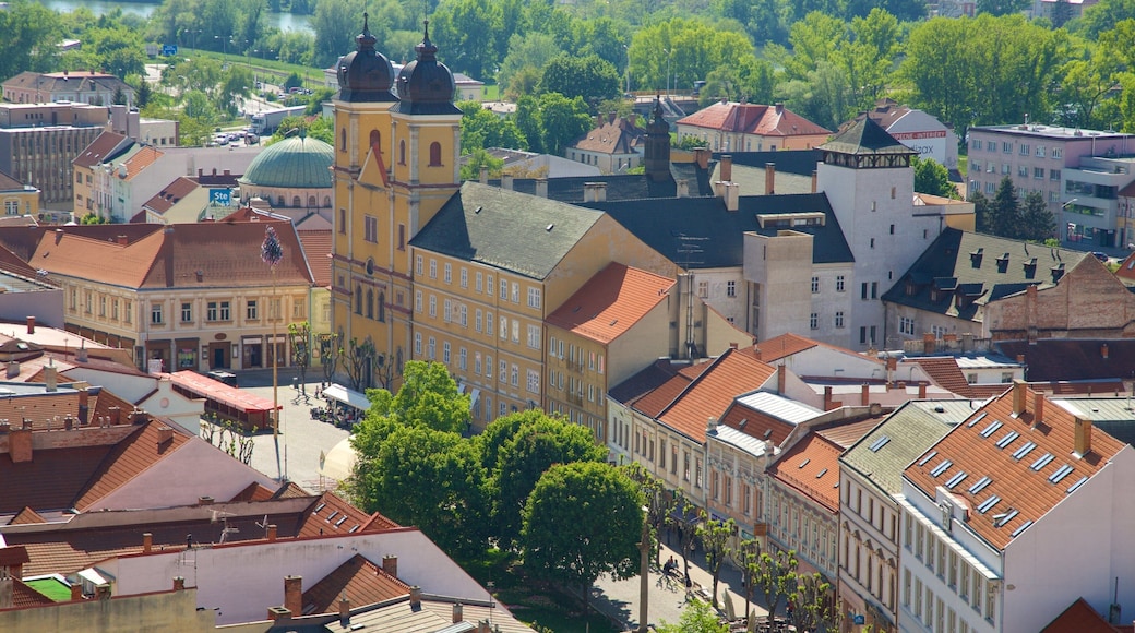 Trencin showing a city