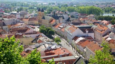 Trencin featuring a city