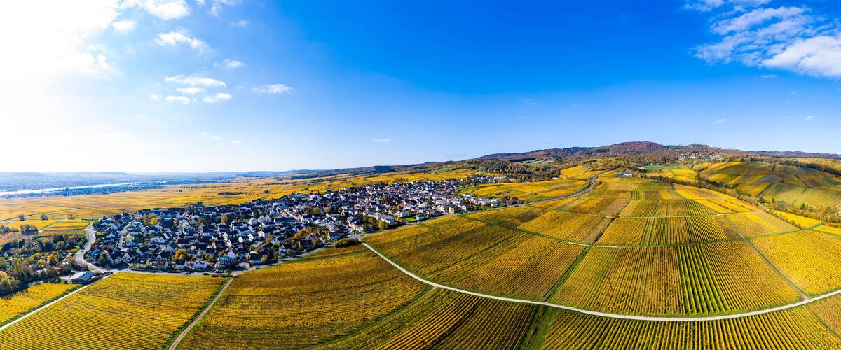 An aerial view of a village surrounded by fields of crops, with a hill in the background.