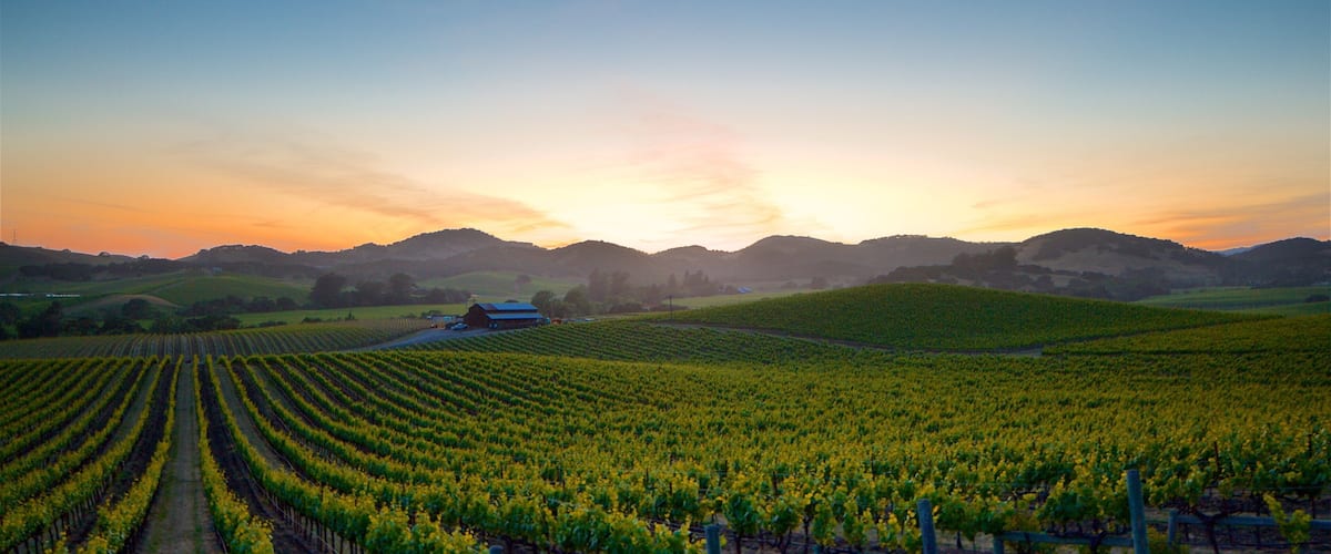 Napa bevat akkerland, een zonsondergang en vredige uitzichten