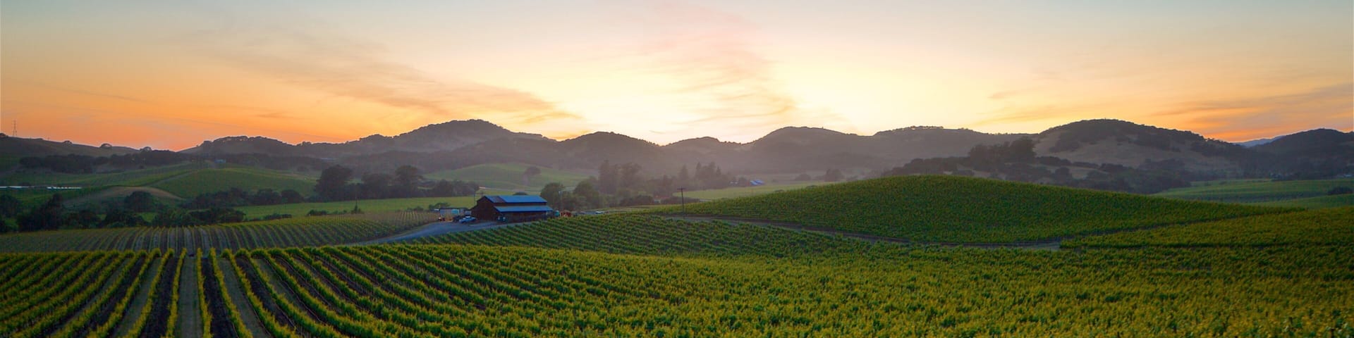 Napa ofreciendo escenas tranquilas, una puesta de sol y vistas de paisajes