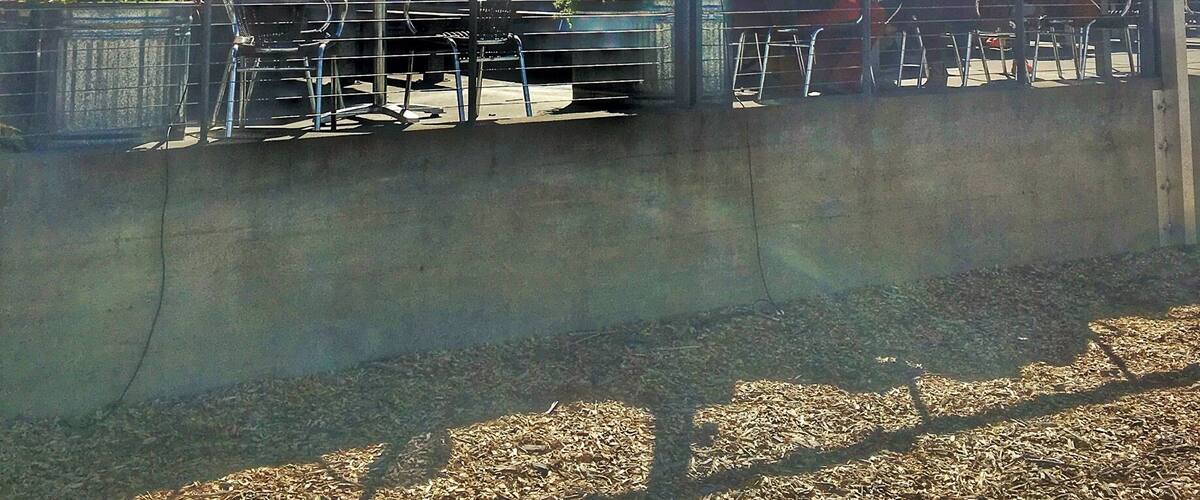 This market is jam packed full of awesome. From fresh brewed beer to fresh caught oysters and everything in between, you won't be disappointed in any of the amazing shops.