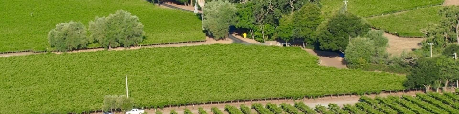 Hot Air Ballooning in Napa Valley. There's no better way to see the magnitude of the vineyard beauty. #EndlessSummer