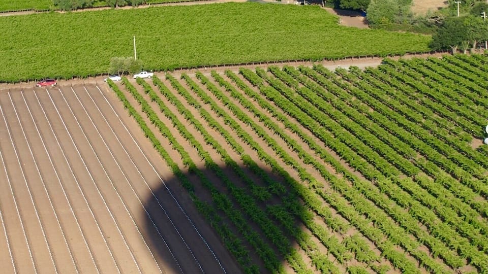 Hot Air Ballooning in Napa Valley. There's no better way to see the magnitude of the vineyard beauty. #EndlessSummer