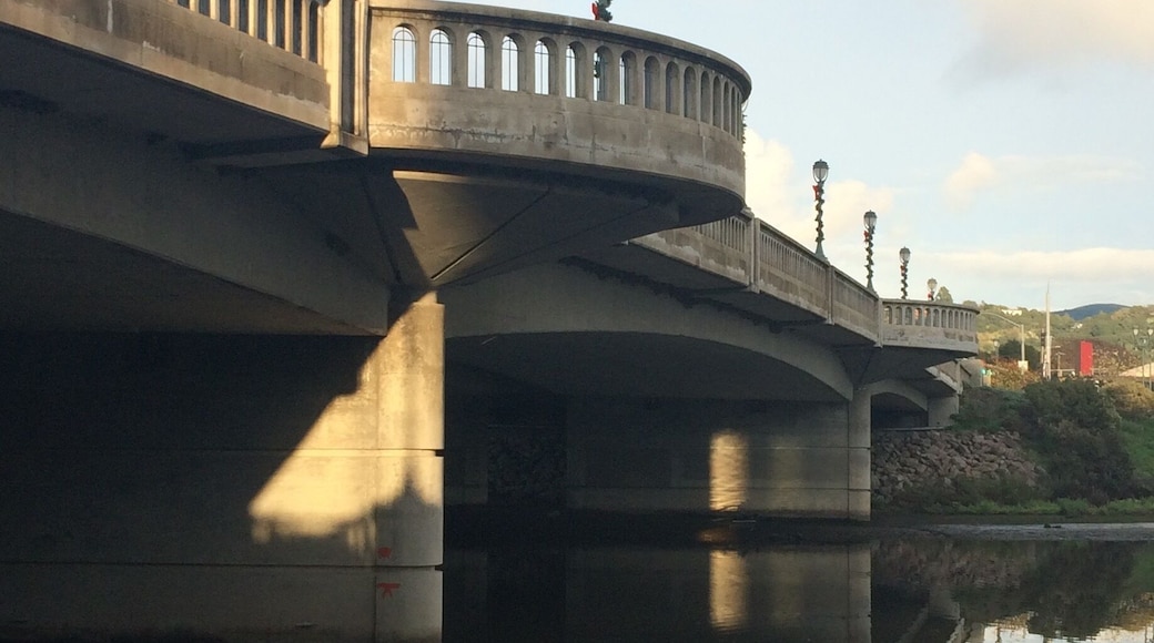 Gorgeous early dusk light on the Napa River Riverfront Promenade.
#napa #river #natureslighting #bridge