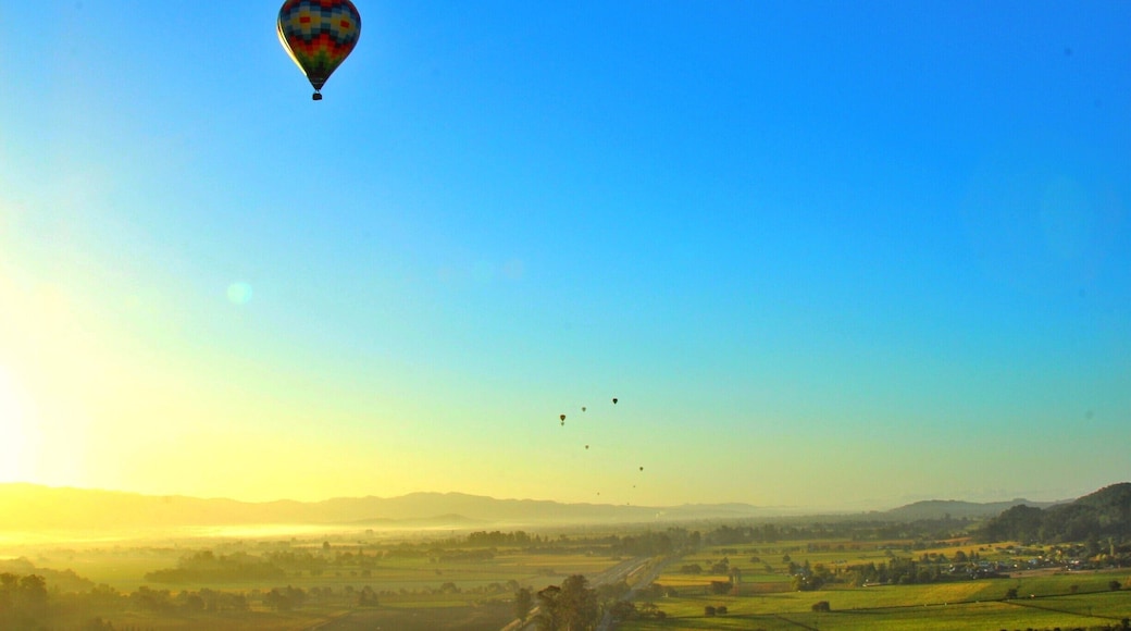 At 6am and 1500 ft in the air over Napa catching sunrise over luscious Napa vineyards and the valley
TIP: don't forget your camera and coffee that early in the morning :)
#california #cali #napa #napavalley #landscape #LifeAtExpedia