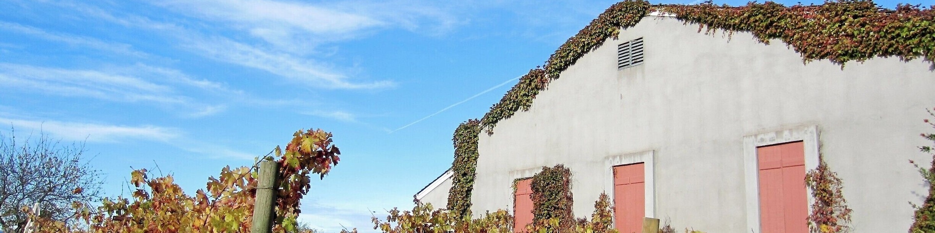 This is a very peaceful, friendly, small winery with such good wine.
Be sure to make an appointment and plan on spending at least 1.5-2 hours sitting out back and relaxing while tasting some pretty extraordinary wines.