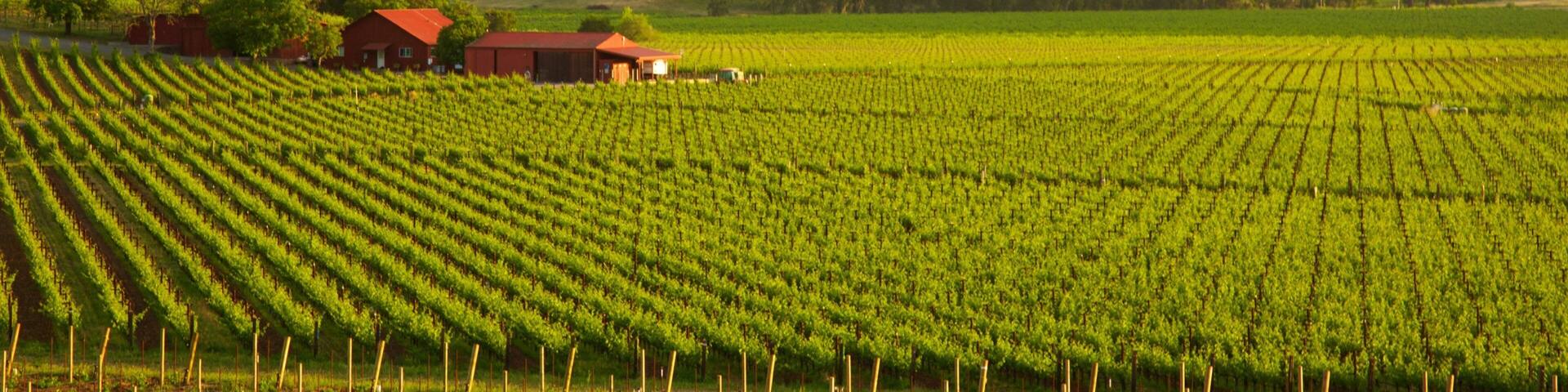 Napa showing a house, landscape views and farmland