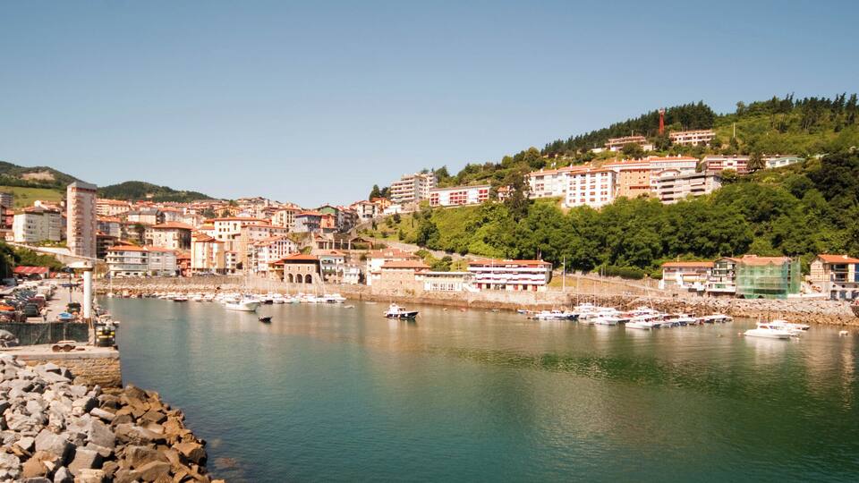 A coastal town with a marina, buildings, and a hillside with greenery.