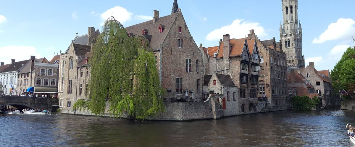 A historic canal with a bridge, a large tree, and a tall church tower.