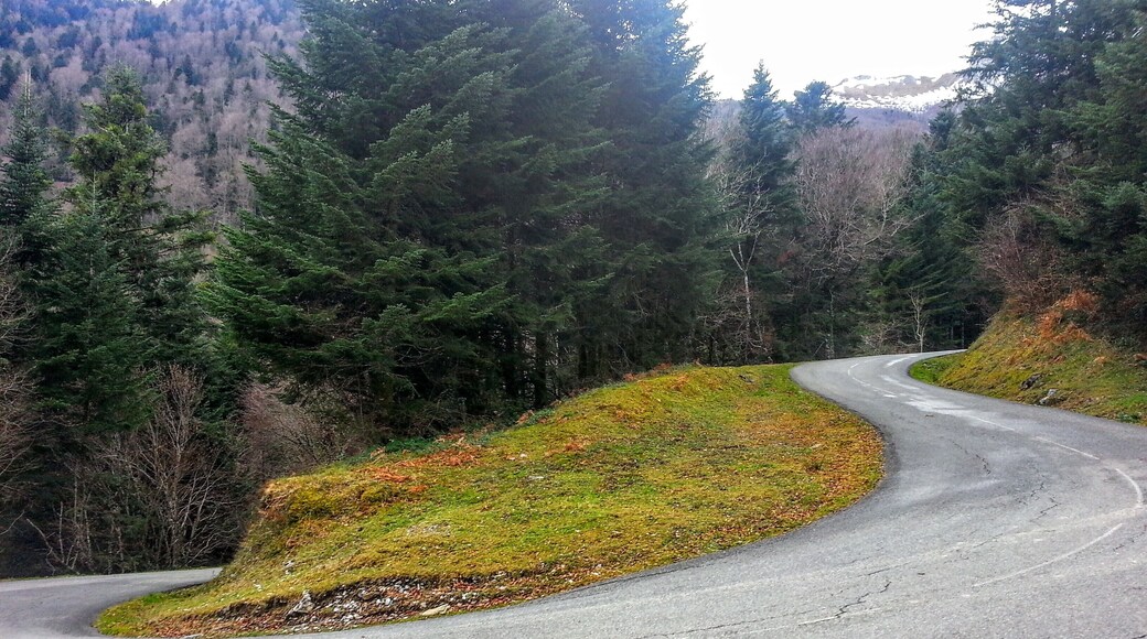 Epingle à cheveux, à 4m du sommet, dans la dernière partie difficile