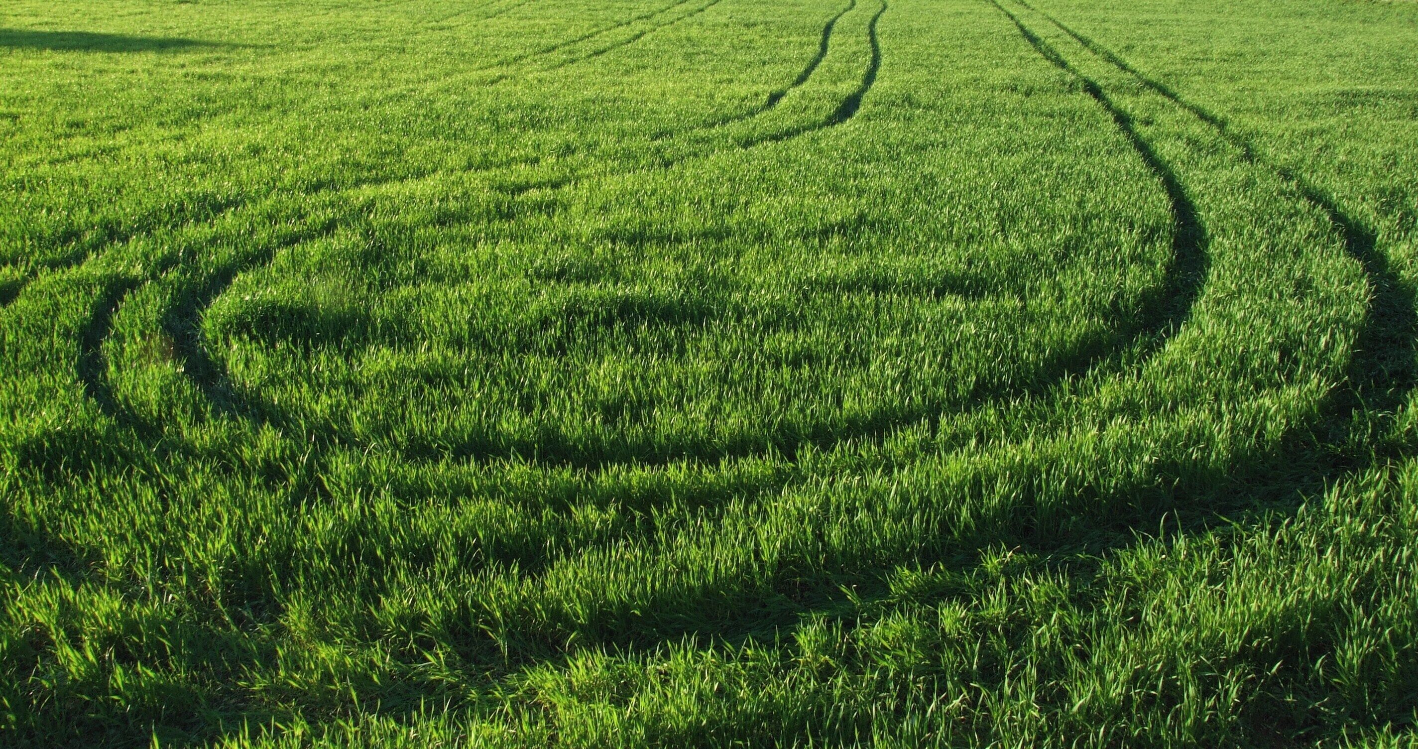 Autista distratto - Driver distracted