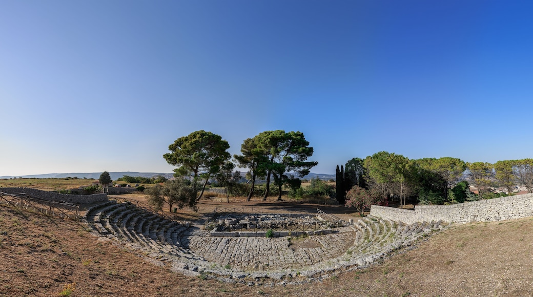 帕拉佐洛阿克雷伊德