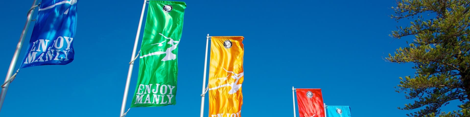 Manly Beach featuring signage