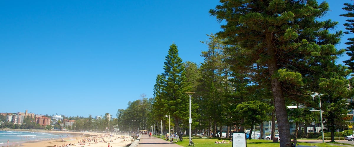 Manly Beach presenterar en sandstrand och en kuststad