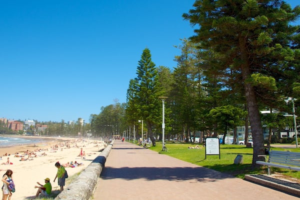 Manly Beach mettant en vedette plage et ville cĂŽtiĂšre
