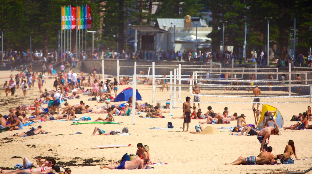 Manly Beach qui includes plage aussi bien que important groupe de personnes