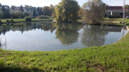 Pond in Rittmitz (Ostrau (Mittelsachsen district, Saxony)