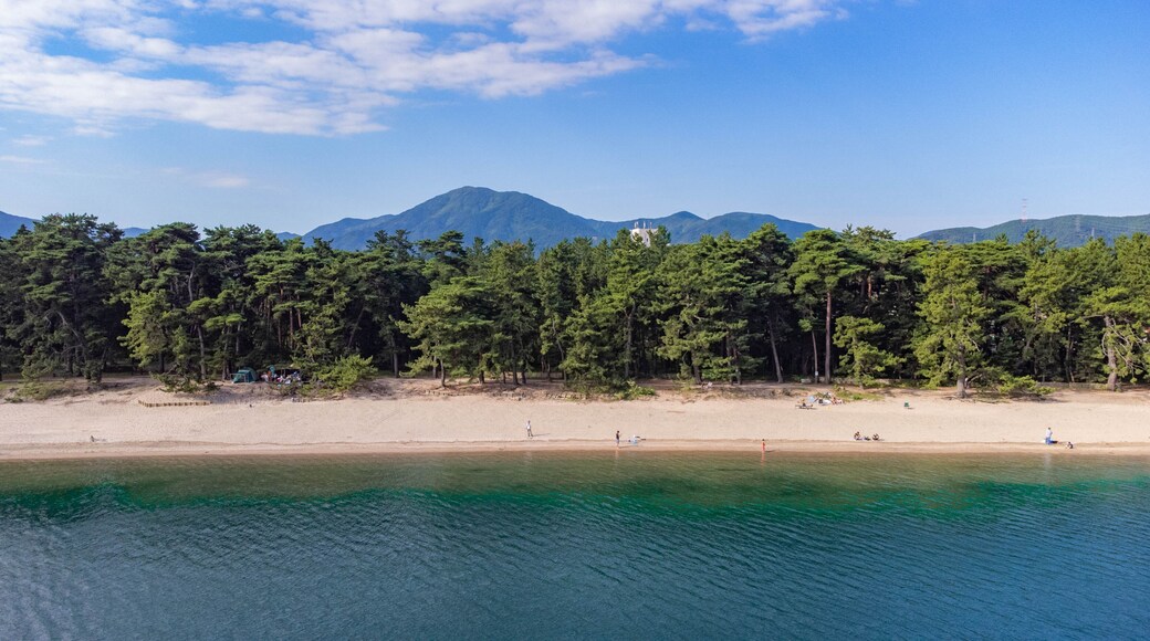 Fukui