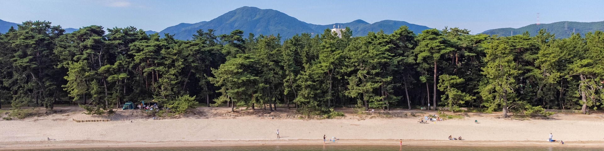 A beach with clear turquoise water, a sandy shore, and a dense forest of tall trees.