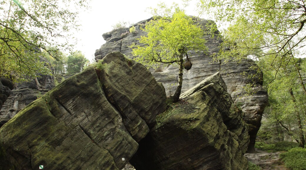 Natural monument Tiské stěny near Tisá village in Ústí nad Labem District, Czech Republic