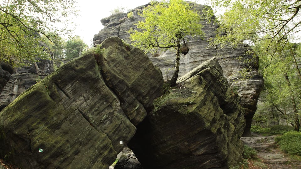 A large rock formation with a tree growing on top.