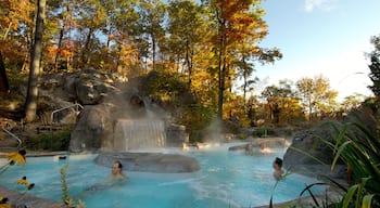 Winnipeg which includes a day spa, forest scenes and a pool