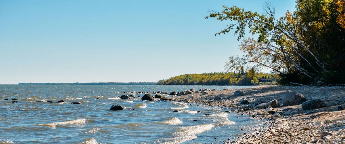 A rocky shoreline with calm water and a distant tree line.