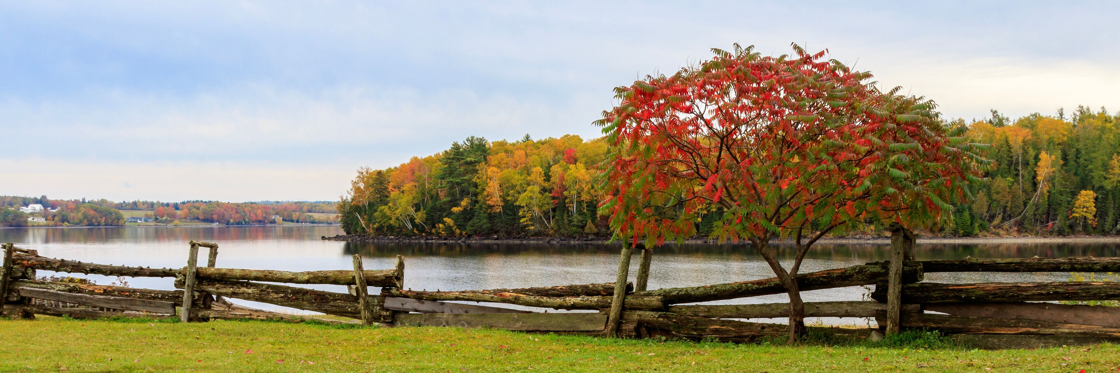 A lake with autumn foliage, a wooden fence, and a distant shoreline.