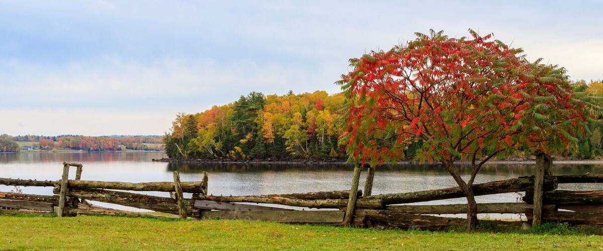 A lake with autumn foliage, a wooden fence, and a distant shoreline.