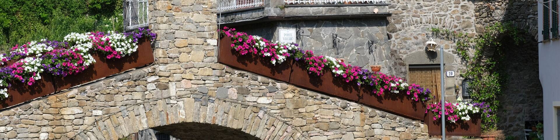 Il Ponte vecchio di Pignone in Val di Vara, ricostruito dopo l'alluvione del 2011.