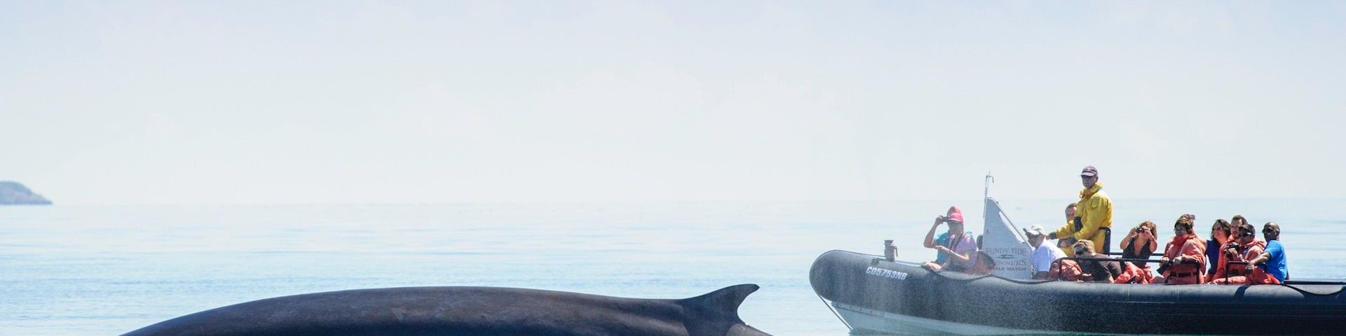 St. Andrews featuring boating and marine life as well as a small group of people