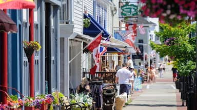 St. Andrews featuring street scenes