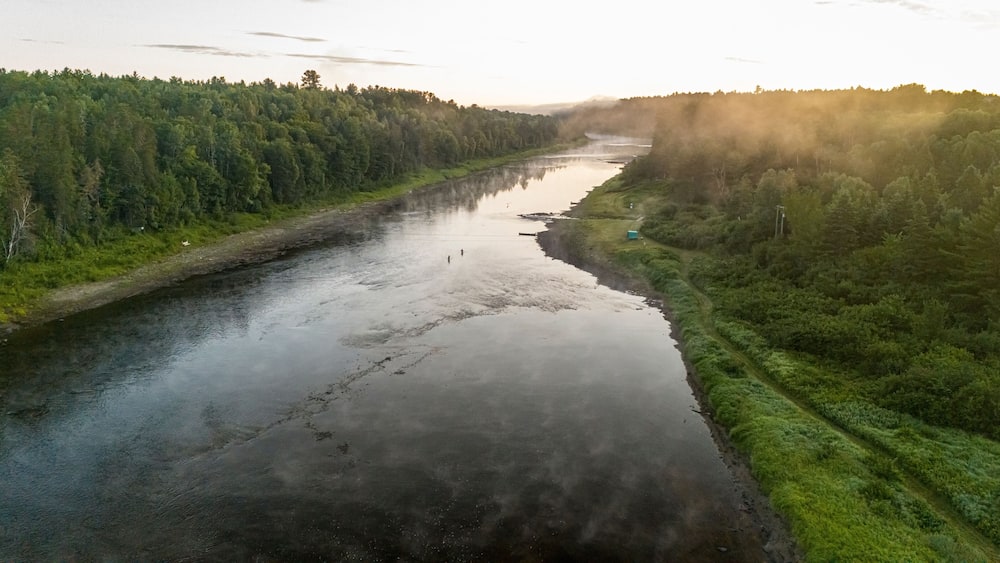 Ein Fluss, umgeben von dichtem Wald, mit dichter Atmosphäre und aufgehender oder untergehender Sonne.