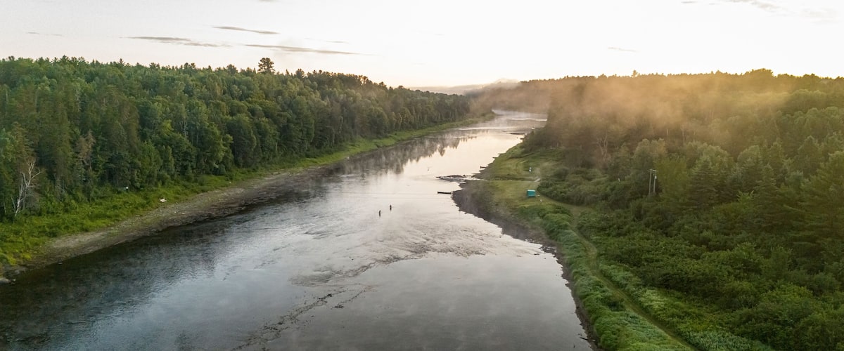 A river surrounded by dense forest, with a misty atmosphere and a sunrise or sunset.