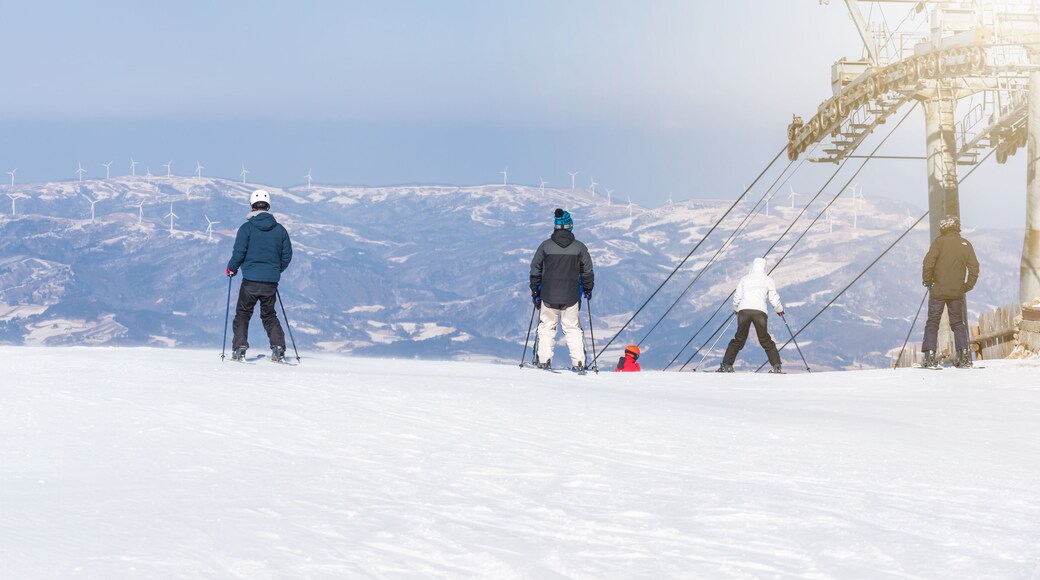 龙平滑雪渡假村