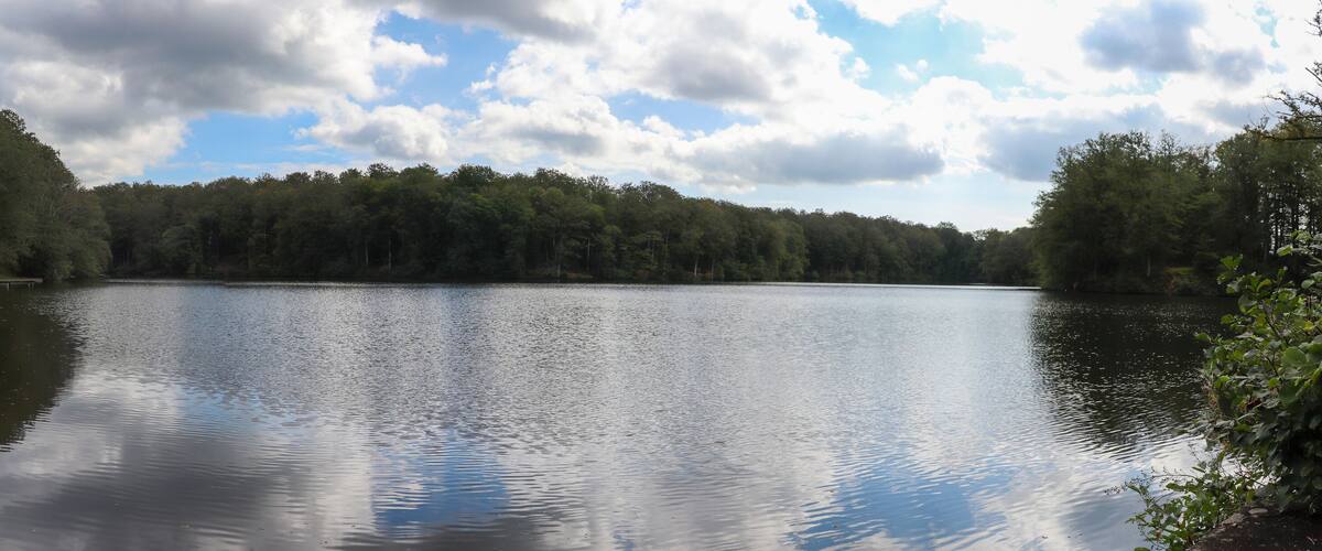 A calm lake surrounded by dense forest under a partly cloudy sky.