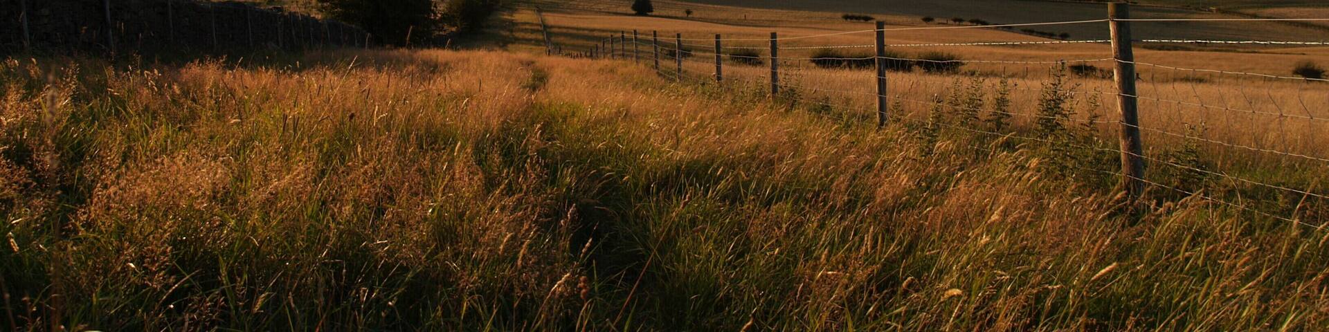 Looking down to Castle Hill from next to Watch Hill