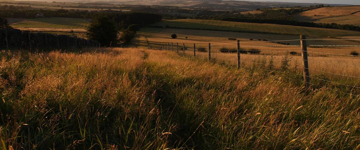 A rural landscape with rolling hills, a river, and a fence in the foreground.