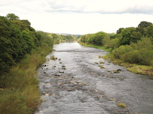 A river with rocks and greenery on both sides.