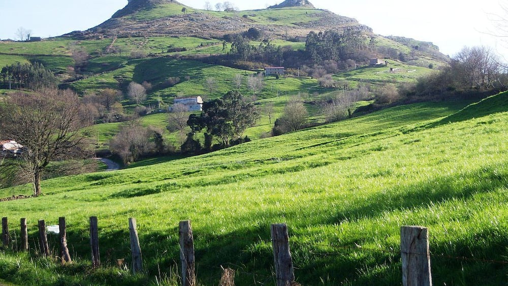 Une colline verdoyante avec une petite butte, une clôture et une route.