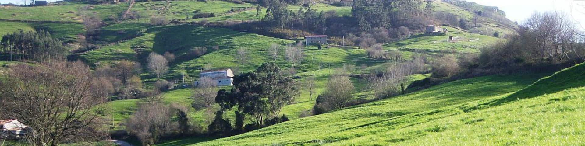 A green hillside with a small hill, a fence, and a road.