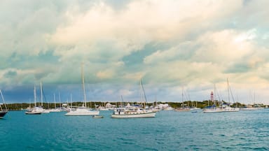 A marina with several sailboats docked under a cloudy sky.