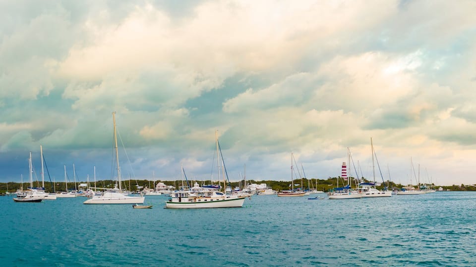 A marina with several sailboats docked under a cloudy sky.