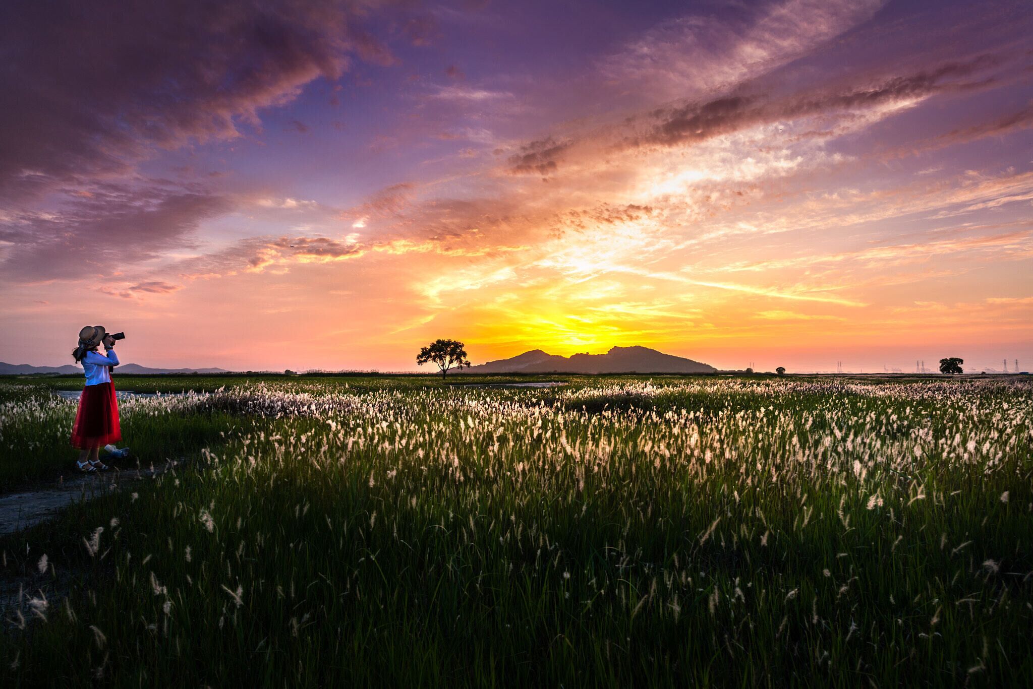 500px provided description: Glow with the glow of the sunset. [#landscape ,#sunset ,#cloud ,#pasture ,#photographer ,#Model ,#??? ,#Hwaseongsi]