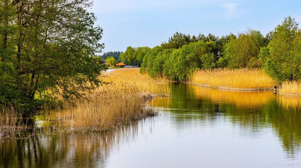 Summer deeds and bushy shores of Elk river at Jezioro Elckie Lake in Barany neighborhood of Elk town in Mazuria lakeland region of Poland