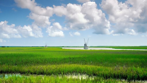 Shrimp boats navigate marshes around Hunting Island and St. Helena Island on the approaches to Beaufort. South Carolina. USA