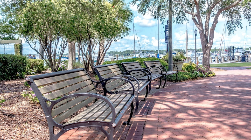beaufort south carolina downtown waterfront on sunny day